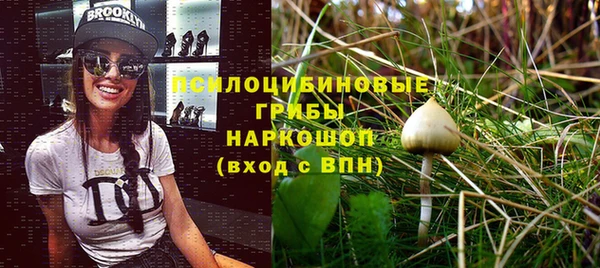 соль ск Остров