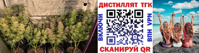 Дистиллят ТГК концентрат  Кола 